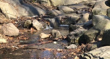 To forget ones ancestors is to be a brook without a source, a tree without a root. Photo of stream over rocks